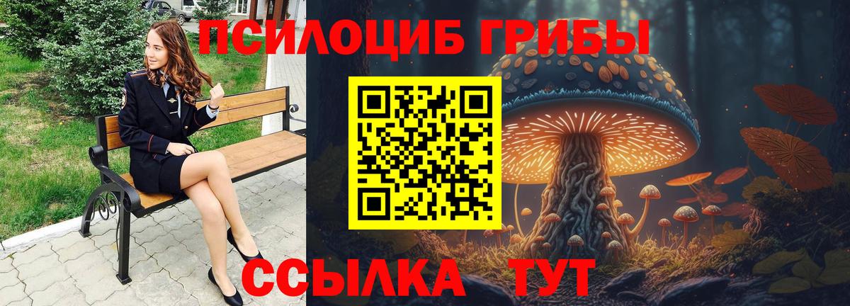 Псилоцибиновые грибы Psilocybe Симферополь