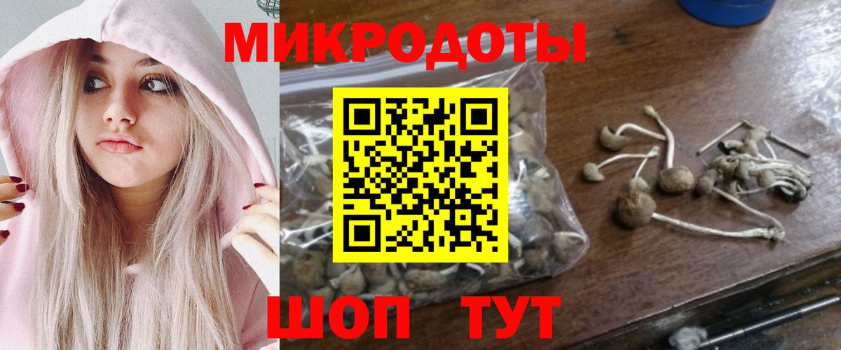 продажа наркотиков  Вход с VPN  Симферополь  Псилоцибиновые грибы GOLDEN TEACHER 